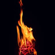 FlamingRedRose666