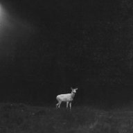 vassago_mortale