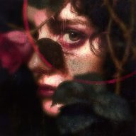 Sally Williams