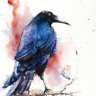 Prometheus’s Raven