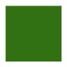 Sea Algae