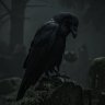 kaelgr