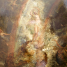 Eudaimonia Aletheia