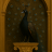 Pavão negro
