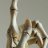 SkeletonHands
